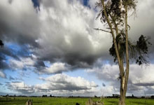 天涯神贴大赏：那些让网友熬夜刷楼的经典贴子